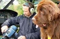 360° Geo Reportage – Die Rettungshunde vom Gardasee