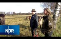 Tierischer Einsatz für die Lüneburger Heide | NaturNah | NDR Doku