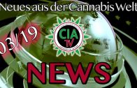 72° BlunTV – Merlin Bong, Clipper, Patrick (Cannabis Medizin) Weedpass & Legalize
