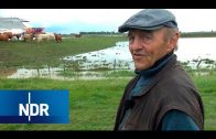Warnwesten für die Hühner | Hofgeschichten | NDR Doku