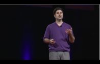 A New Theory of Human Intelligence | Scott Barry Kaufman | TEDxZumbroRiver