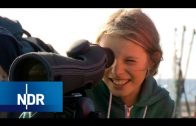 Abenteuer Naturschutz: Im Einsatz für Seevögel und Co. | NaturNah | NDR Doku