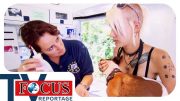Ärztin der Straßenhunde – Focus TV Reportage