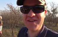 Auf Safari in Südafrika – Reportage Doku Dokumentation Deutsch