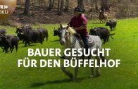 Bauer gesucht! – Für den Büffelhof auf der Schwäbischen Alb