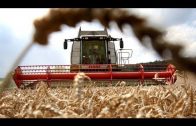 Bauer sucht Zukunft – Eine ökologischere Landwirtschaft ist machbar
