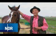 Bauernhof: Herbstverkauf auf dem Pferdehof | Hofgeschichten | NDR Doku