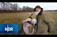 Bauernhof: Noch ein Problembock für Günter Garbers | Hofgeschichten | NDR Doku