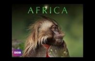 BBC Documentary 2017 Animal Planet Rare Monkey Species Discovered in Eastern Him BBC horiz