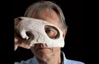 BBC Documentary 2017 – Scott Burdick Talks with Richard Dawkins