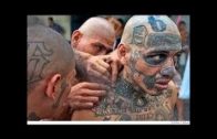 BBC Horizon Gangs in Prison (History Documentary) BBC horizon 2017