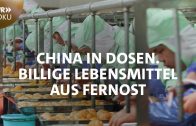 Billige Lebensmittel aus Fernost – China in Dosen | SWR Doku