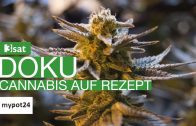 Cannabis gegen Krebs – Doku – 3sat