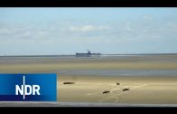 Cuxhaven – Schiffe, Strand und sonst Watt | die nordstory | NDR