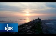 Das neue Norderney: Urlaub auf der beliebten ostfriesischen Insel | die nordstory | NDR Doku