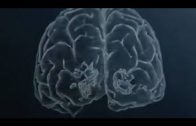Das Rätsel des künstlichen Hirns | arte doku 2017 künstliche intelligenz neuronale netze