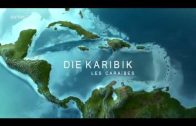 ★Der Karibik Jäger★ das ultimative Raubtier| Doku | deutsch | 2018