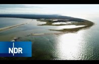Der Nationalpark Vorpommersche Boddenlandschaft | NaturNah | NDR Doku