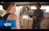 Der Pferdeversteher – Sag niemals nie | Doku & Reportage | NDR Doku