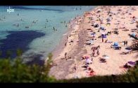 Der Reise-Check: Mallorca – Traum oder Albtraum