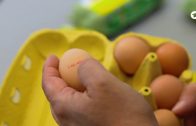 Die Eierlüge – wie die Eierindustrie Verbraucher austrickst