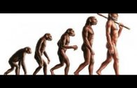 Die Evolution des Menschen Doku HD