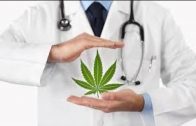 Die Geschichte des Cannabis,  Marihuana und dessen Einfluss auf die Medizin Doku Deutsch HD