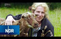 Die Schäferin von Sylt | NaturNah | NDR Doku