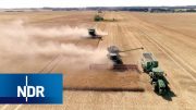 Digitale Landwirtschaft: Hightech auf dem Acker | Wie geht das? | NDR Doku