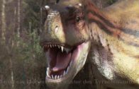 Dinosaurier und ihre Zeitalter – Fakten, Infos & viel mehr – Dinopark I-III