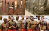 ✖ DOKU 2019 – Gangs hinter Gittern
