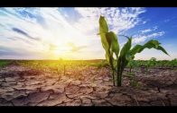 Doku 2025 Der globale Klimawandel – Anthropozän Dokumentation deutsch HD  Reportage