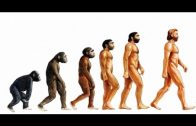 Doku – Die Evolution der Menschen | So entstanden die Menschen