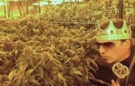 Doku – Geschäfstmodell Kriminell – Der Cannabis König