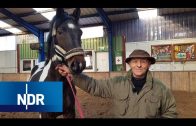 Begehrter Pferdemist und ausgebüxte Hühner | Hofgeschichten | NDR
