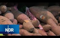 Experiment in Niedersachsen: Ackern für die Süßkartoffel | die nordreportage | NDR Doku