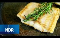 Fischzucht: Fisch aus Niedersachsen | Wie geht das? | NDR Doku