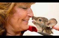 Frau Kruse und ihr Kängurubaby