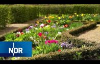 Gärten, Parks und grüne Dächer | die nordstory | Doku | NDR