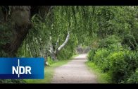 Hamburgs Grüner Ring | NaturNah | NDR Doku