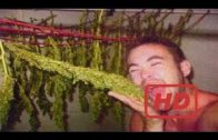 Internationaler Cannabis-Dealer – Das Leben als VIP Drogenverkäufer (Doku 2017 NEU / HD)