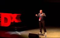 TEDxRotterdam – Igor Nikolic – Complex adaptive systems