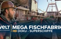 SUPERSCHIFFE – Riesen Trawler & Fischfabrik „Northern Eagle“ | HD Doku