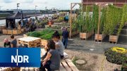 Landwirtschaft in der Großstadt: Die Bremer Stadtbauern | NaturNah | NDR Doku