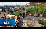 Landwirtschaft in der Großstadt: Die Bremer Stadtbauern | NaturNah | NDR Doku