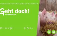 Landwirtschaft und ihre Rolle für Mensch, Tier und Umwelt | Geht doch! Greenpeace-Podcast #4