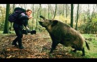 Leben als Tierfilmer Doku HD