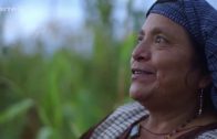 Medizin in fernen Ländern: Mexiko Die Heilmethoden der Maya Doku