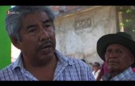 Mein Mexiko – Drogenkrieg, Gewalt und Korruption (Web-Doku)