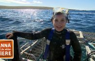 Mit dem Hai unter Wasser  | Reportage für Kinder | Anna und die wilden Tiere